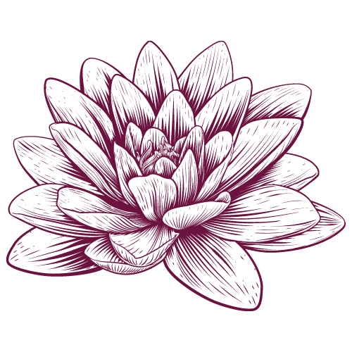 Seerose